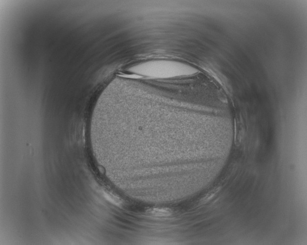 X0000068750157200605121619