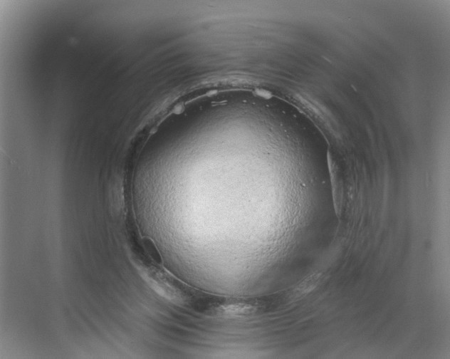 X0000068750158200605121619