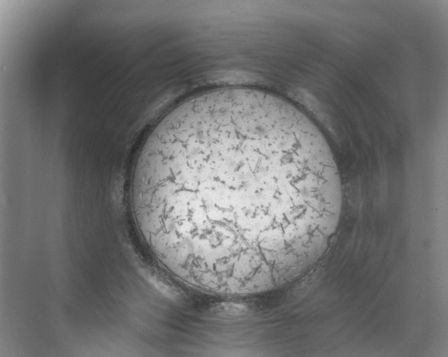 X0000068750159200605121619