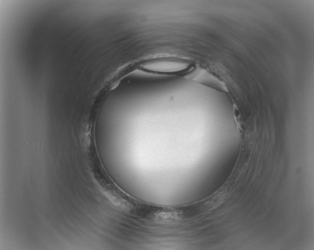 X0000068750160200605121619