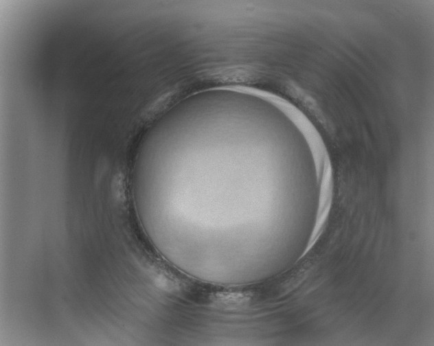 X0000068750161200605121619