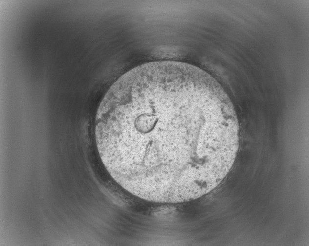 X0000068750162200605121619