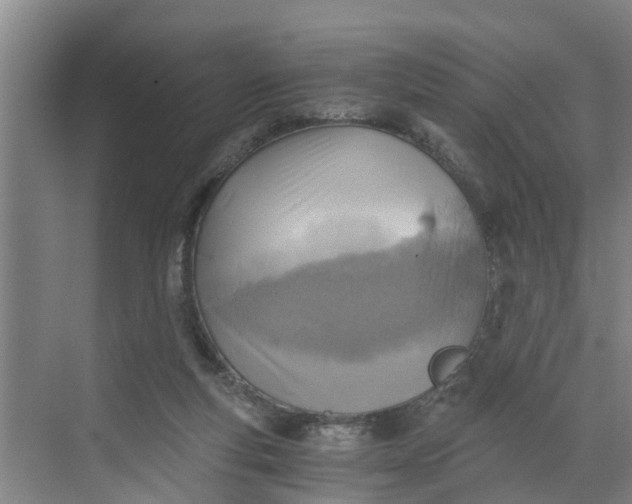 X0000068750163200605121619