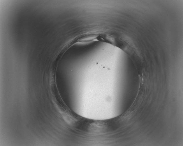 X0000068750164200605121619