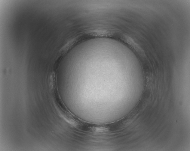 X0000068750165200605121619