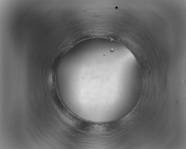 X0000068750166200605121619