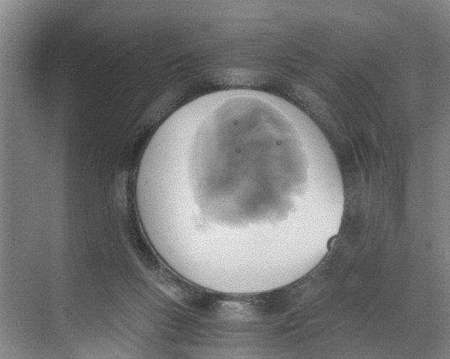 X0000068750167200605121619