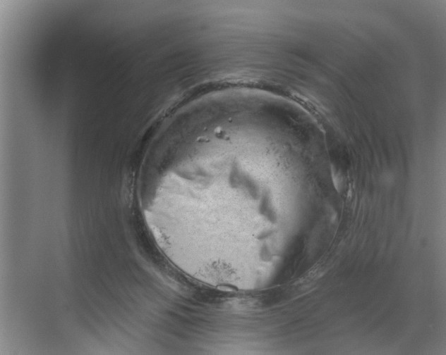 X0000068750168200605121619