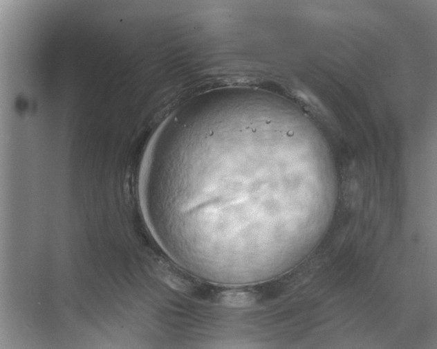 X0000068750169200605121619