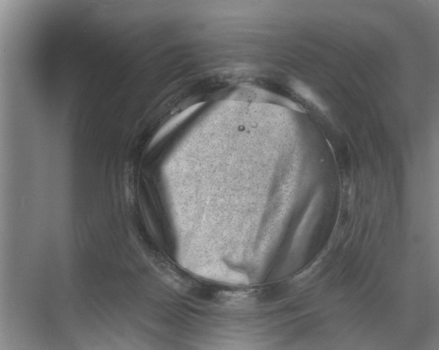 X0000068750170200605121619