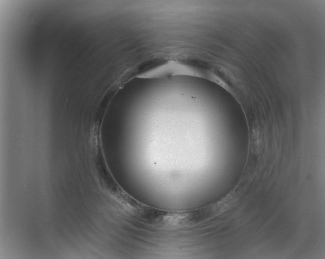 X0000068750172200605121619