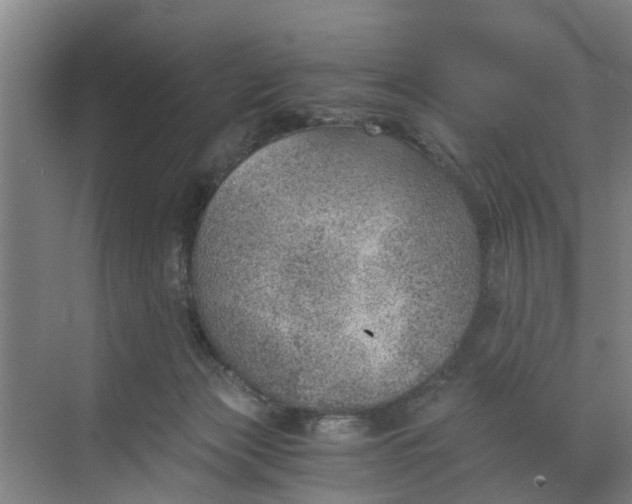 X0000068750173200605121619