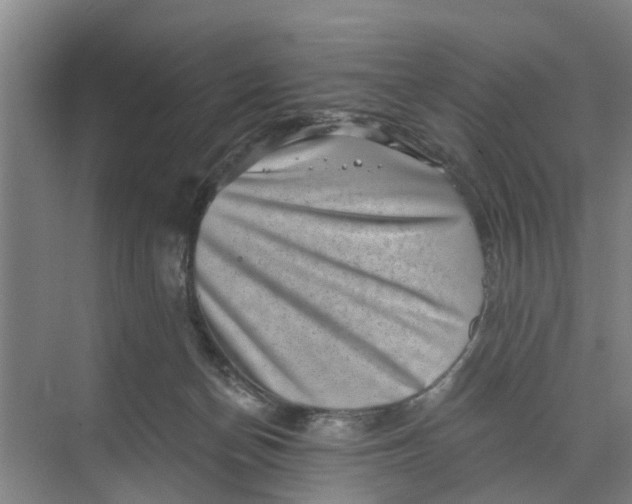 X0000068750174200605121619