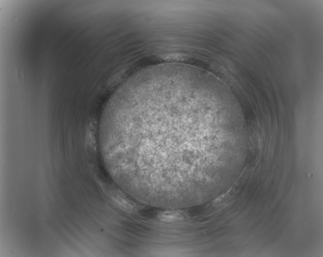 X0000068750175200605121619