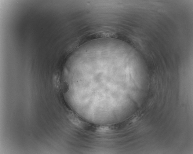 X0000068750177200605121619