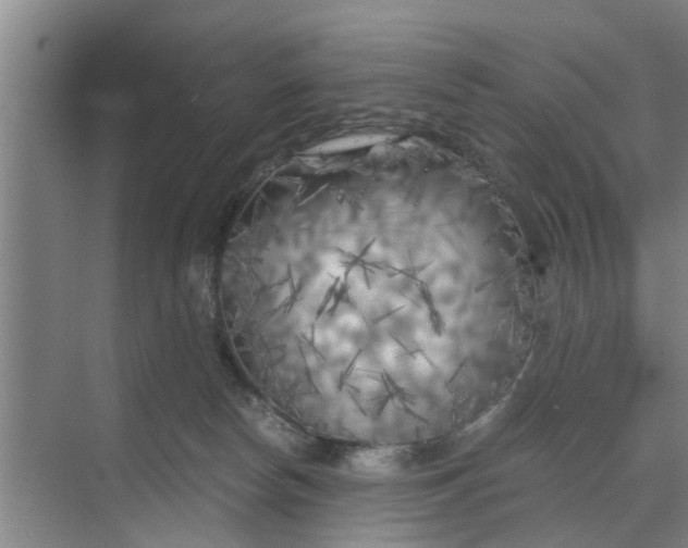 X0000068750178200605121619