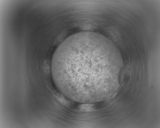 X0000068750179200605121619