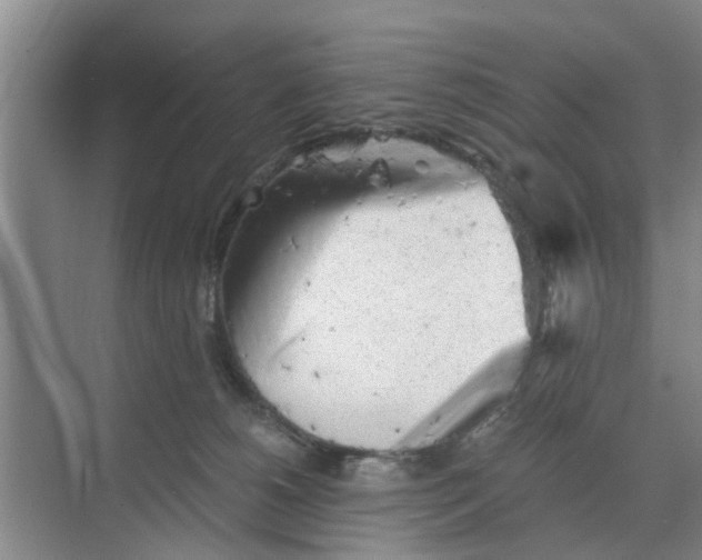 X0000068750180200605121619