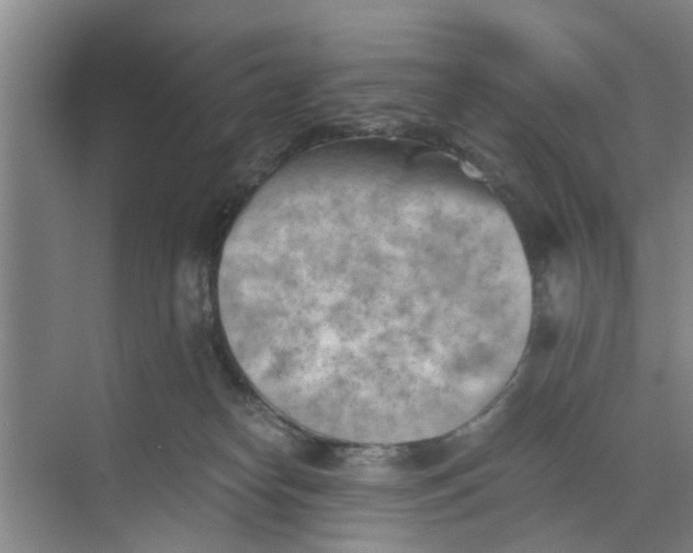 X0000068750182200605121619