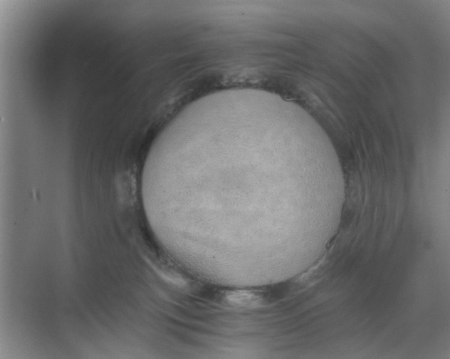 X0000068750183200605121619