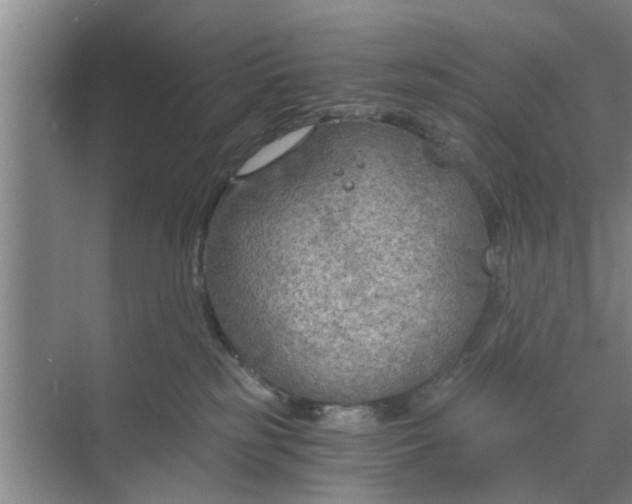 X0000068750185200605121619