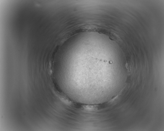 X0000068750187200605121619