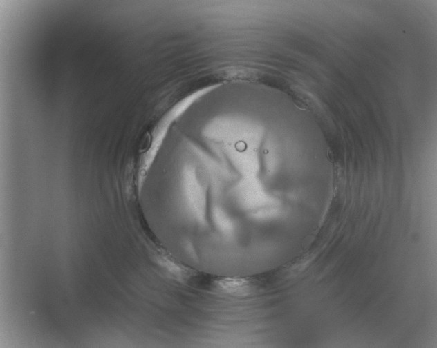 X0000068750189200605121619