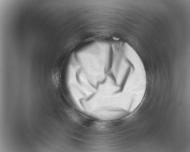 X0000068750190200605121619