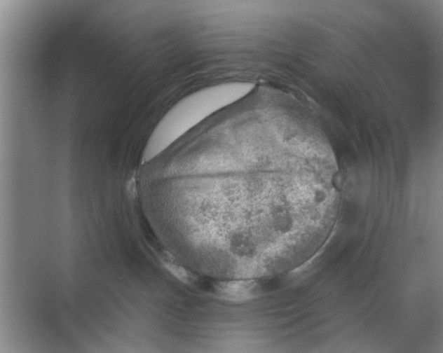 X0000068750191200605121619