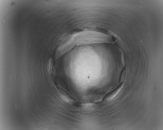 X0000068750192200605121619