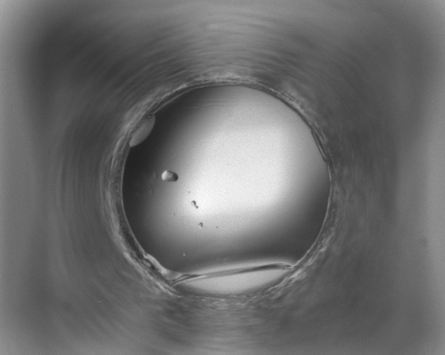 X0000068750193200605121618