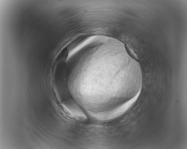 X0000068750194200605121618