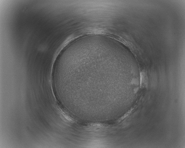 X0000068750195200605121618