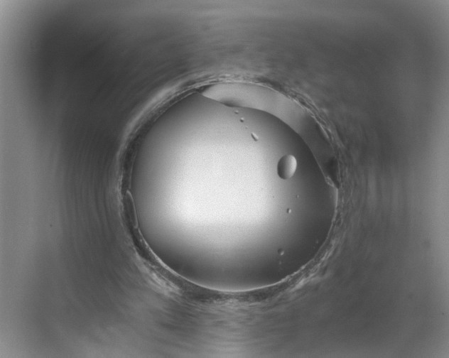 X0000068750197200605121618