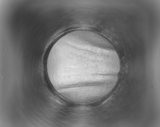 X0000068750198200605121618