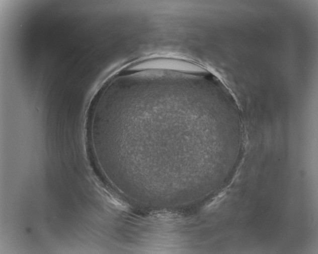 X0000068750199200605121618