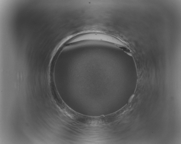 X0000068750200200605121618