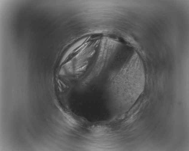 X0000068750201200605121618