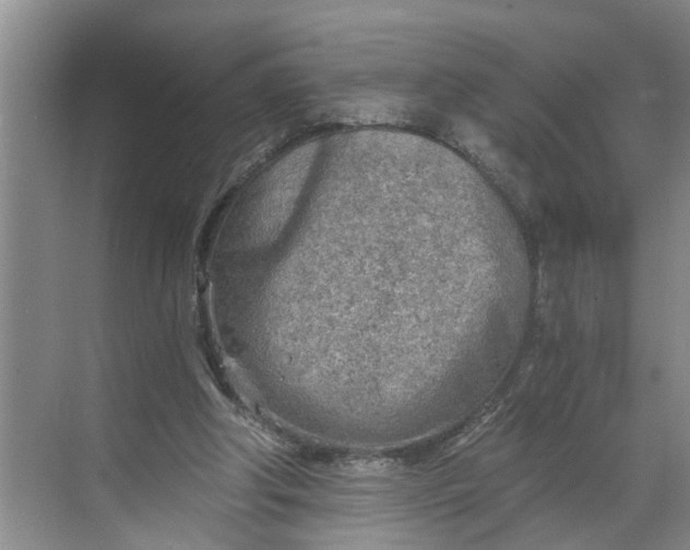 X0000068750202200605121618