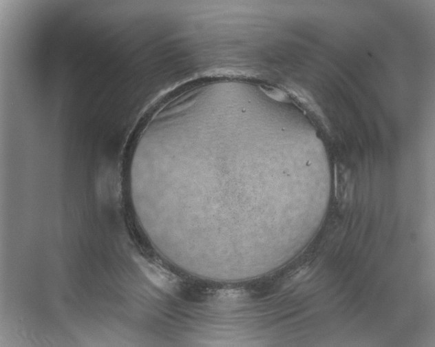 X0000068750204200605121618