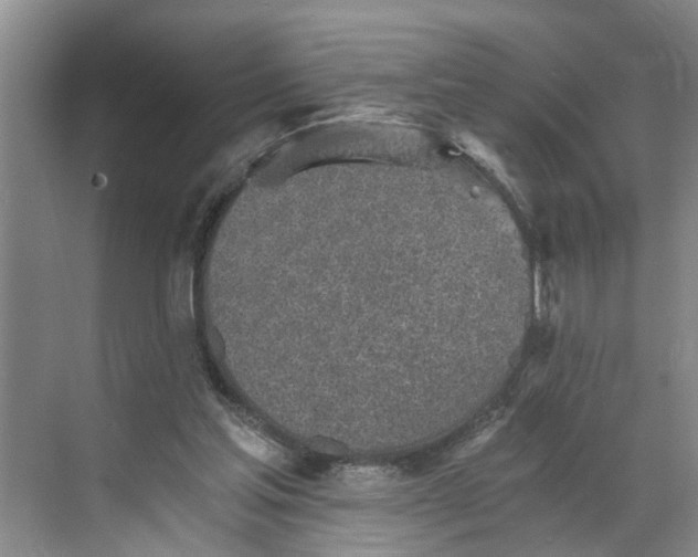 X0000068750205200605121618