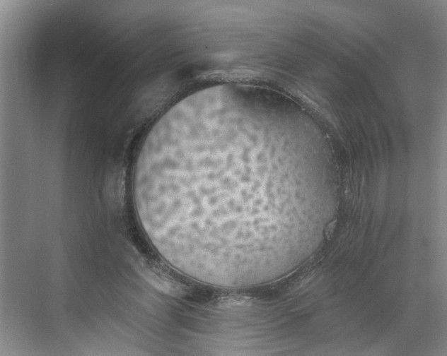 X0000068750206200605121618