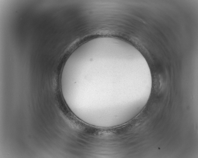 X0000068750208200605121618