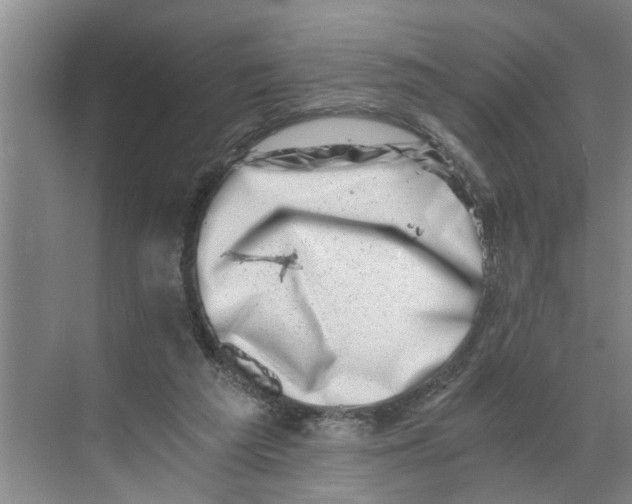 X0000068750209200605121618