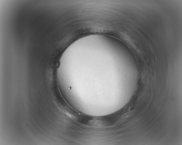 X0000068750211200605121618