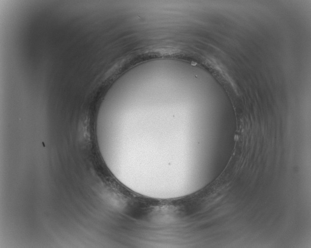 X0000068750212200605121618