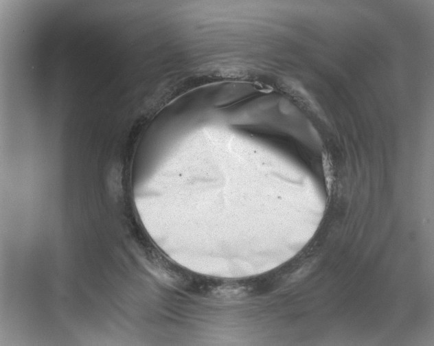 X0000068750213200605121618