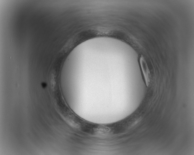 X0000068750215200605121618