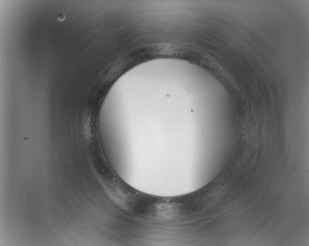 X0000068750216200605121618