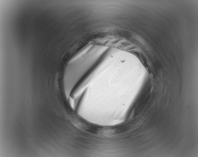 X0000068750217200605121618